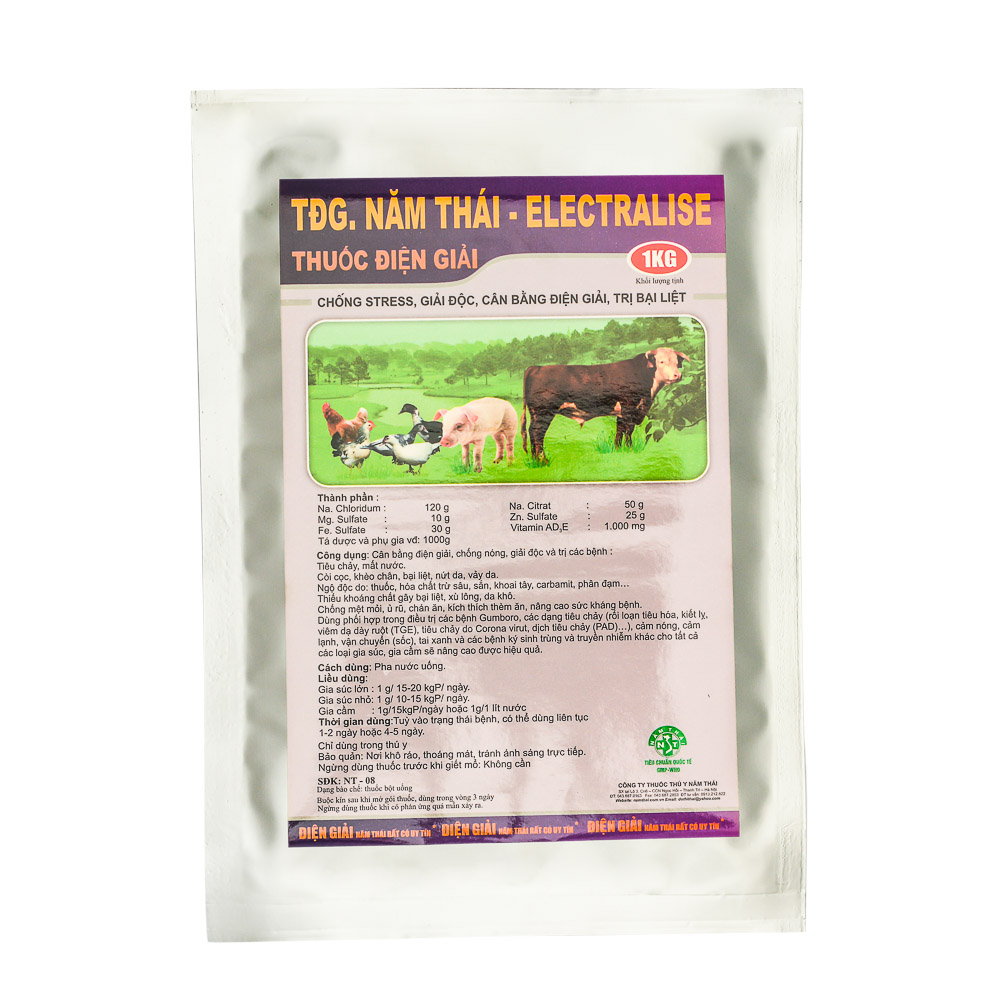 TĐG. NAM THAI – ELECTRALISE